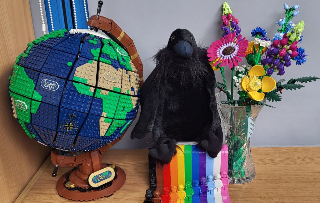 image of stuffed raven toy