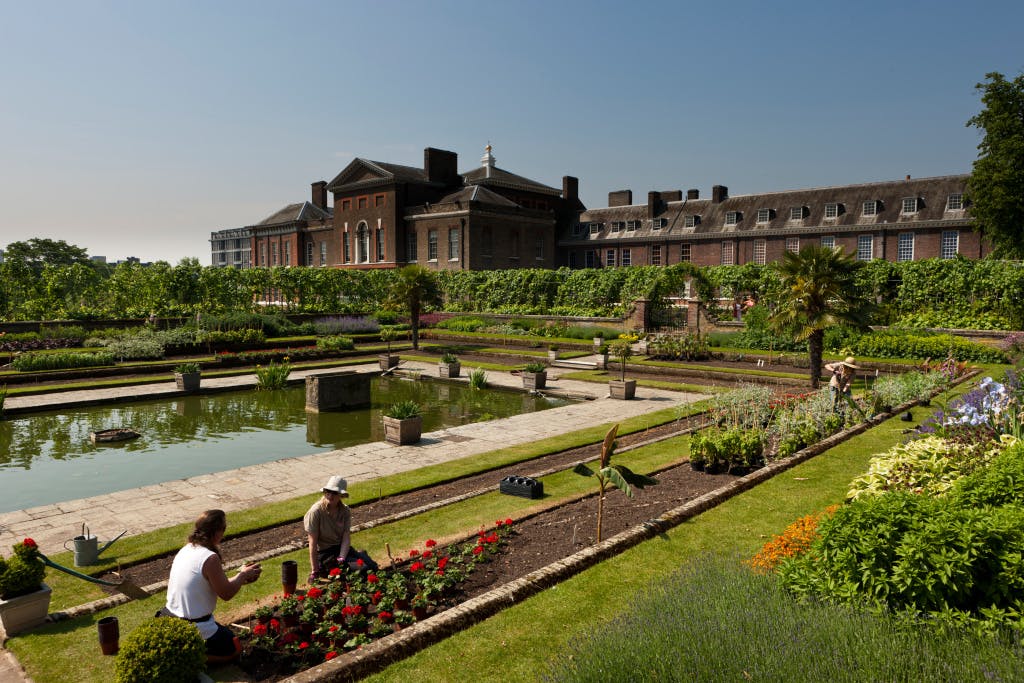 The Sunken Garden after Kensington Palace renovations looking south-west, 28 May 2012. Showing Historic Royal Palaces gardeners planting bedding flowers in the foreground. 

Part of the Kensington Palace project, ‘Welcome to Kensington - a palace for everyone’, an undertaking over two years (2010-12) of major refurbishments (renovation) at Kensington, including new gardens.