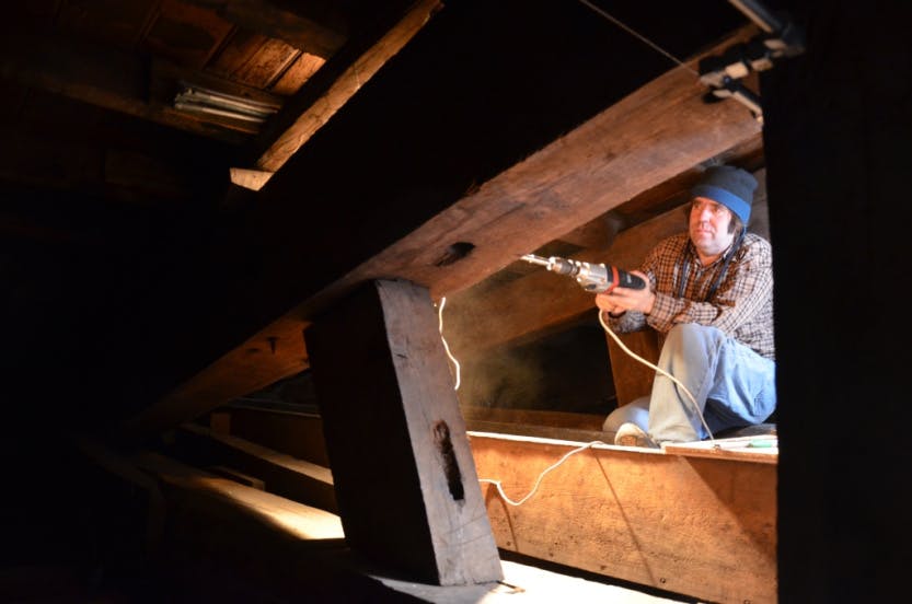 Work on tree-ring dating in the roof of the Great Watching Chamber at Hampton Court Palace.