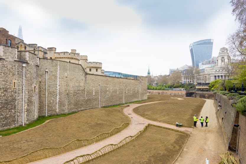 The Tower moat, looking north-west, 29th March 2022. Showing a high-angle view of contractors (faces not seen) working on the first stage of creating a natural landscape in the moat in preparation for Superbloom 2022. 

Superbloom is a colourful, vibrant display of flowers filling the Tower Moat from June to September 2022 in celebration of the Platinum Jubilee of Her Majesty, Queen Elizabeth II. Designed to bring natural beauty to the urban space, Superbloom introduces and will establish a new biodiverse habitat for wildlife. The route takes visitors among the flower displays, including sculptural elements and a sound installation. 

Superbloom was designed by Historic Royal Palaces, working with Grant Associates - Landscape Architect, and University of Sheffield Professor of Planting Design, Nigel Dunnett.