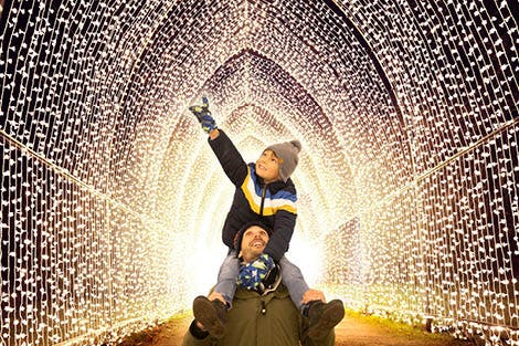 Плакат «Рождество в замке и садах Хиллсборо», на котором семья ночью смотрит на иллюминацию.