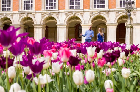 Kensington Palace and Hampton Court Gardens Face Climate Change Challenges