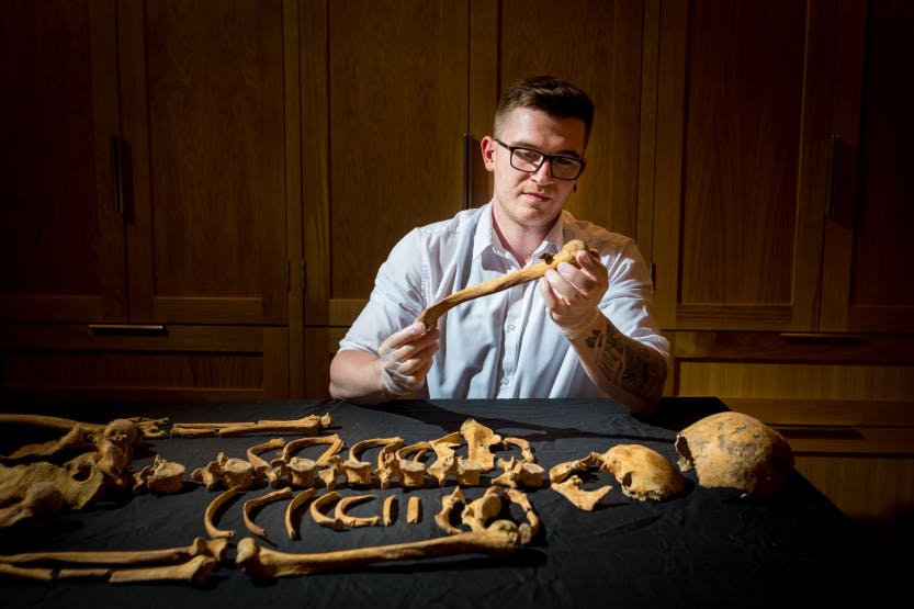 Assistant Curator Alfred Hawkins is seated behind the skeletal remains examining the right humerus bone intensely.