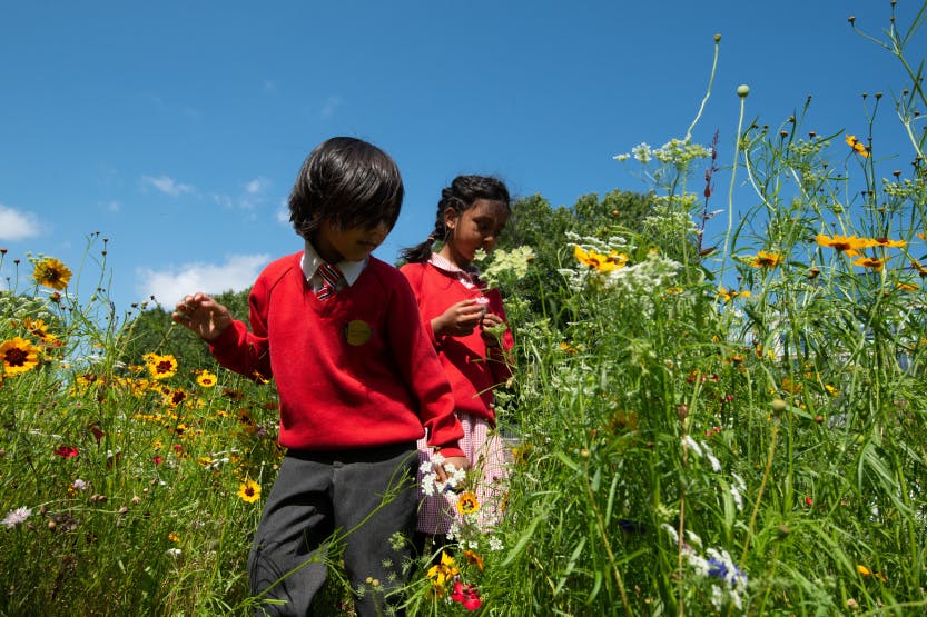 School children gardening in Tower of London moat as for Superbloom schools project