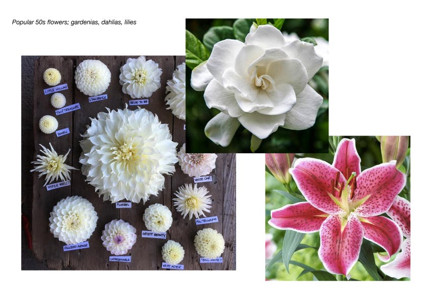 Charlotte's moodboard of popular flowers of the 1950s