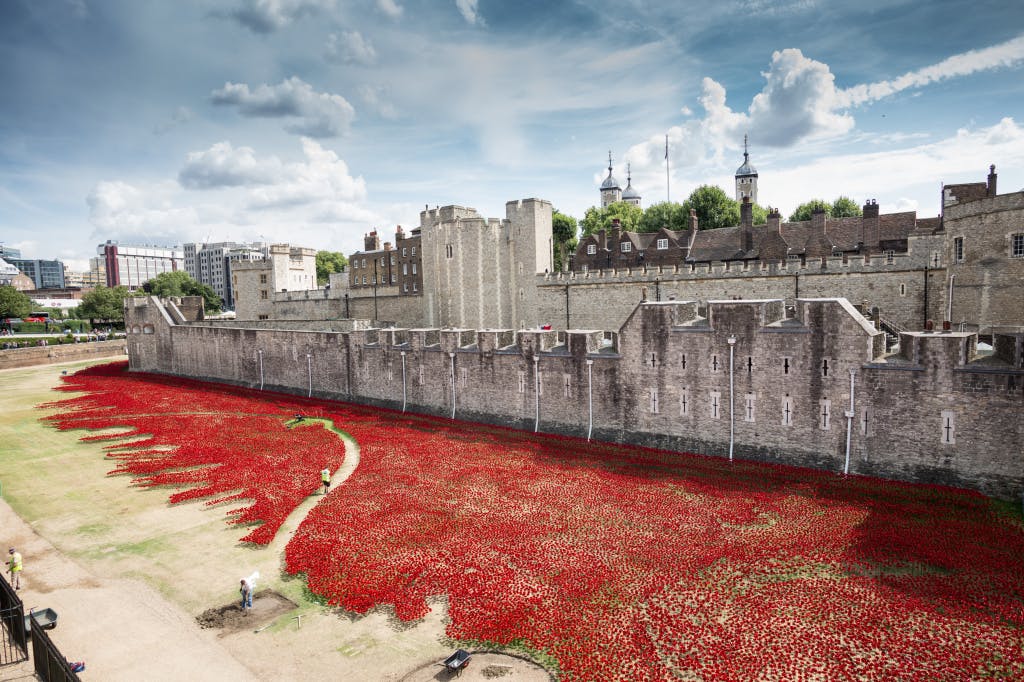 A view of the over 800,000 ceramic poppies that appeared around the Tower of London over the summer of 2014 to form a major art installation marking the centenary of the First World War.