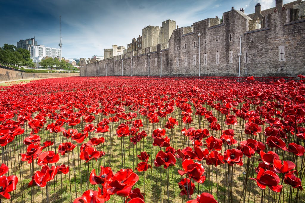 London over the summer of 2014 to form a major art installation marking the centenary of the First World War. The red ceramic poppies pool out into Tower Moat.