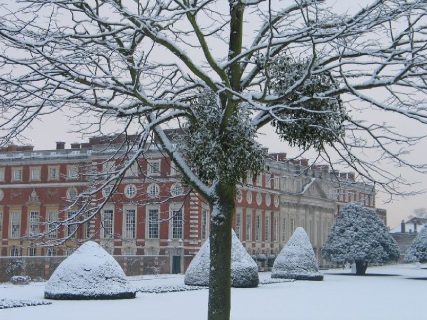 The Great Fountain Garden looking north-west towards the South Front, showing mistletoe growing on a tree in a snowy scene, winter 2019.