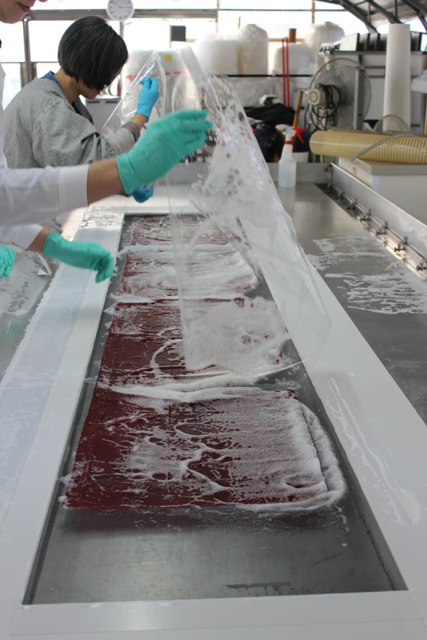 Conservation of Queen Caroline’s State bed: wash.